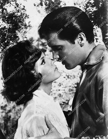 Shelley Fabares Elvis Presley film Spinout 6428-01