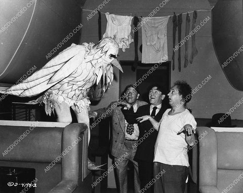 3 Stooges Moe Larry Shemp guy in bird suit comedy short 6482-20