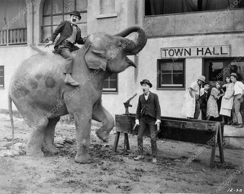 man riding elephant in town Larry Semon maybe unknown silent film 6522-14