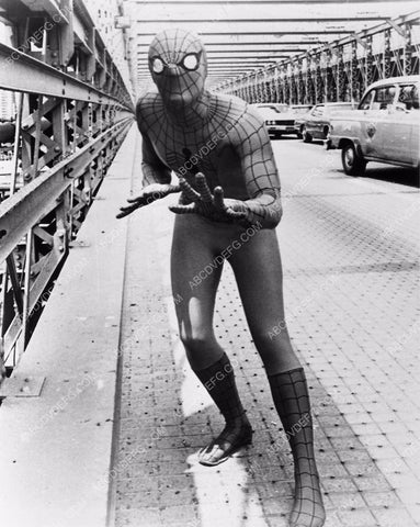 Nicholas Hammond TV The Amazing Spiderman 6549-03