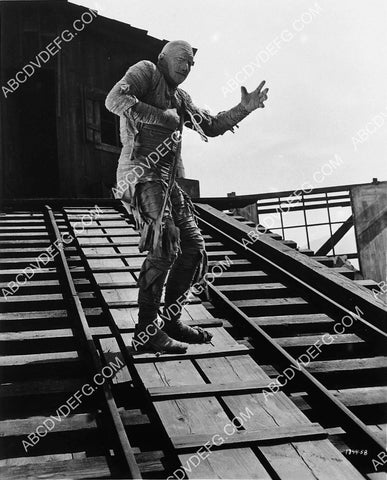 Lon Chaney Jr film The Mummy's Ghost 7319-22