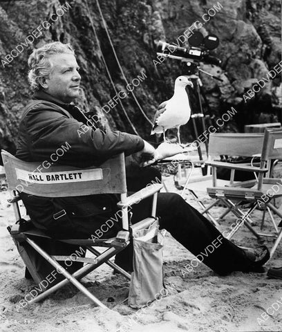 Hall Bartlett on location film Jonathan Livingston Seagull 7319-24