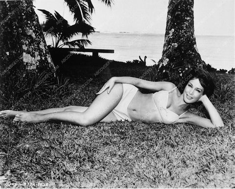 Barbara Eden cheesecake bathing suit 7369-08