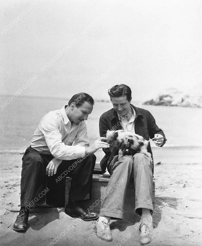 candid Lloyd Nolan Ray Milland on the beach w baby piglett 7561-28