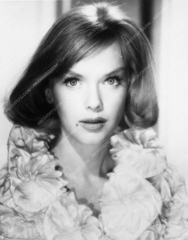 portrait Anne Francis 7667-12