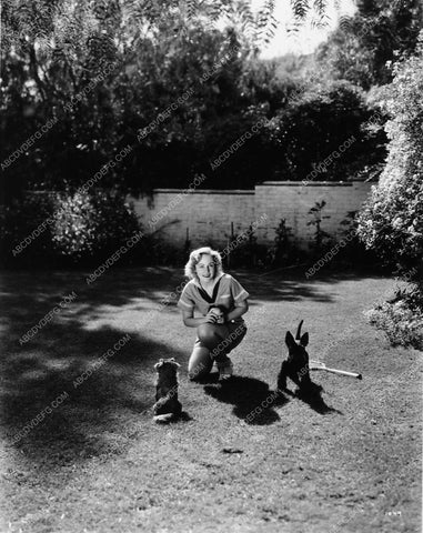 Madge Evans playing with her dogs in the backyard 7855-29