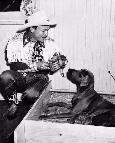 candid Roy Rogers at home taking care of his pups 8174-22