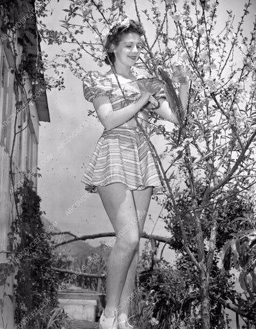news photo historic Santa Catalina Island Peggy Lynn with flying fish 81bx01-071