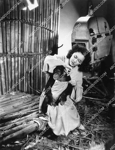 Maureen O'Sullivan dressing a monkey behind the scenes 8245-24