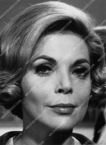 Barbara Bain portrait 8628-10