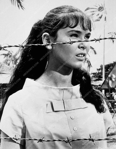 Yvonne Craig behind barbed wire 8760-29
