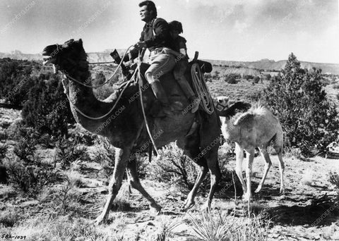 James Garner western film One Little Indian 8943-35