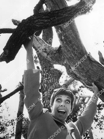 Carol Burnett TV The Carol Burnett Show 8B11-538