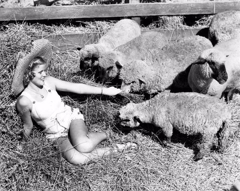 1941 L.A. County Fair Elaine Stahlman wins Miss Theme Girl 8b6-125