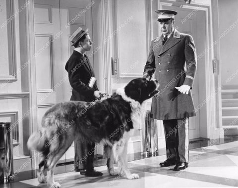 Mickey Rooney & St Bernard Buck the dog Hold That Kiss 8b6-309