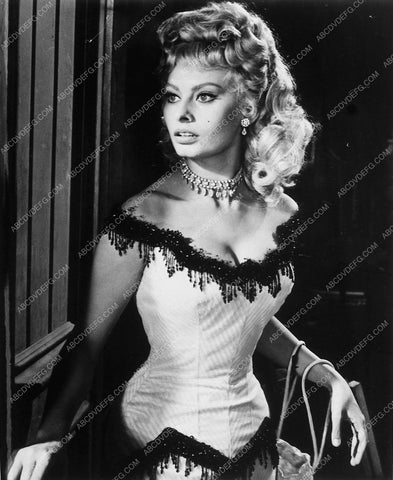 Sophia Loren Heller In Pink Tights 9909-19