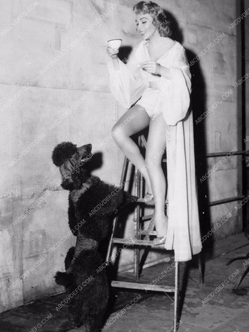 candid Dolores Gray cup of tea and her poodle dog 8b20-0152