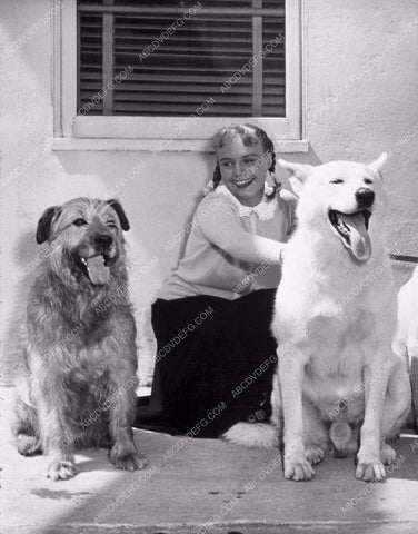 child star Peggy Ann Garner and her two dogs 8b20-0524