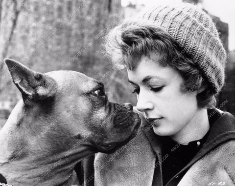 actress and her cute boxer dog 8b20-0554
