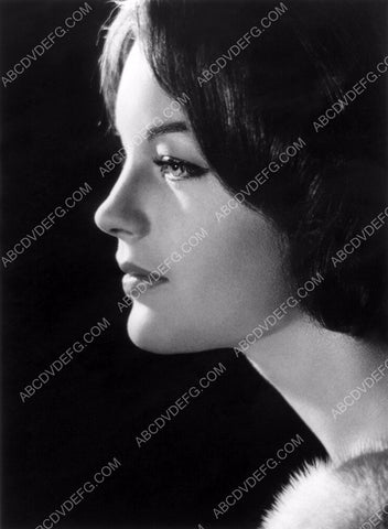 stylish profile Romy Schneider portrait 8b20-0837