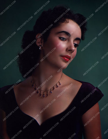 beautiful Elizabeth Taylor portrait 8b20-0979
