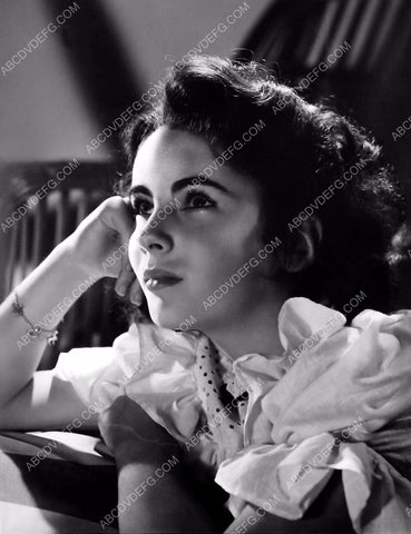 beautiful Elizabeth Taylor portrait 8b20-0994