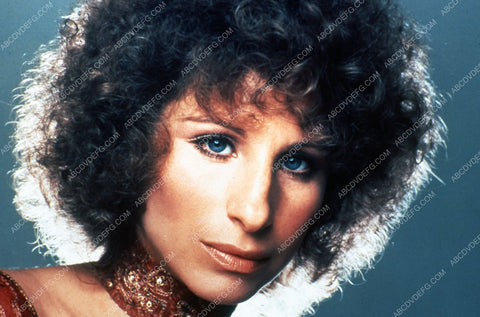 Barbra Streisand portrait 8b20-10113