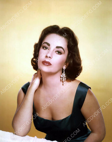 beautiful Elizabeth Taylor portrait 8b20-1042
