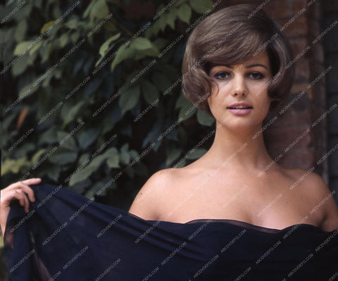 lovely Claudia Cardinale outdoors pic 8b20-10453