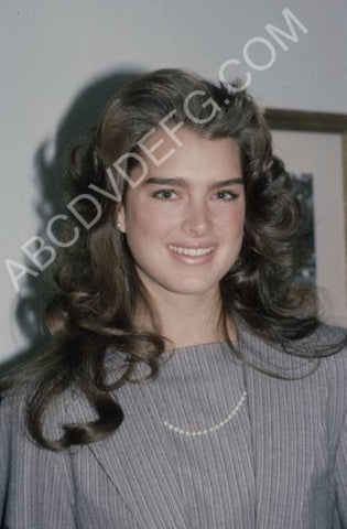 Brooke Shields portrait 8b20-10504