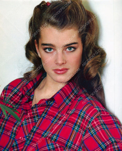 beautiful Brooke Shields portrait 8b20-10520