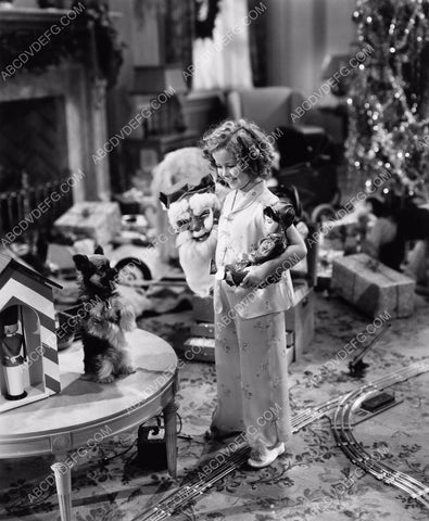 Shirley Temple her dog model trains Christmas Morning fun 8b20-1080
