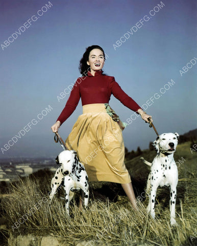 Ann Blyth and her two dalmation dogs 8b20-11039