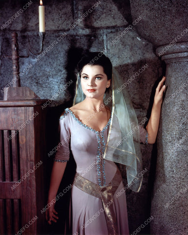 beautiful Debra Paget pic film Prince Valiant 8b20-11262