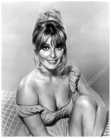 sexy Sharon Tate in teddy pic 8b20-11639