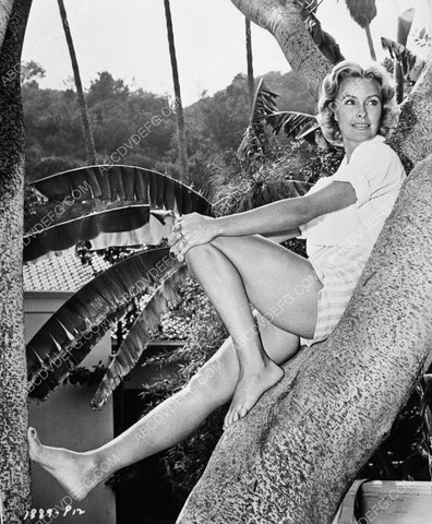 Dina Merrill in her short shorts up in a tree 8b20-12157