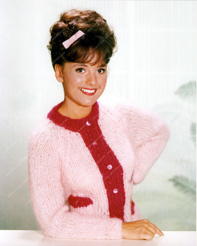 gorgeous sweater girl Dawn Welles portrait 8b20-12573