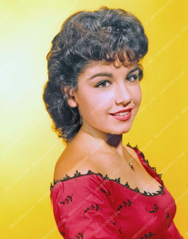 Annette Funicello portrait 8b20-13084