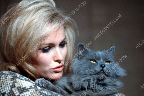 lovely Ursula Andress and her cat pic 8b20-13222