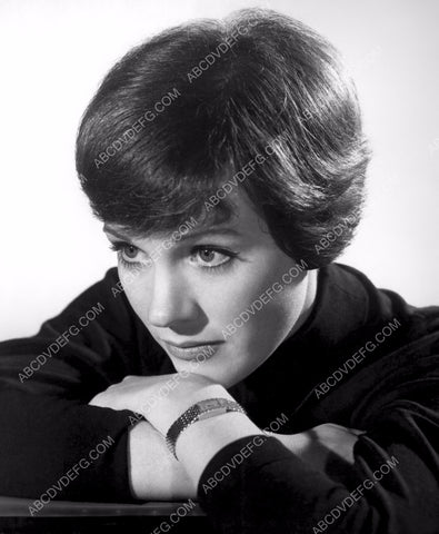 Julie Andrews portrait 8b20-13290