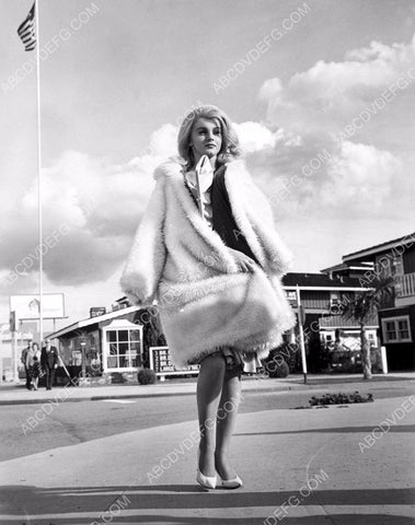 very fashionable Ann-Margret 8b20-13340