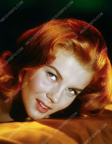 Ann-Margret portrait 8b20-13392