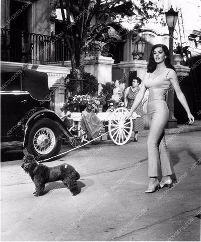 stunning Edy Williams takes her dog for a walk 8b20-13580
