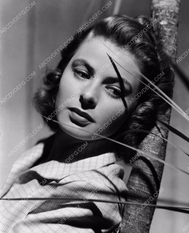 beautiful Ingrid Bergman portrait 8b20-13681