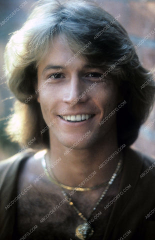 Andy Gibb portrait 8b20-13700