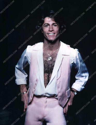 Andy Gibb portrait 8b20-13719