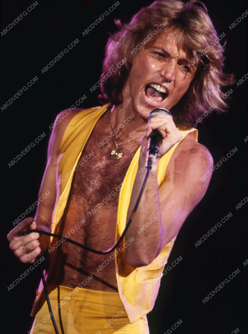 Andy Gibb rocking out on stage 8b20-13728