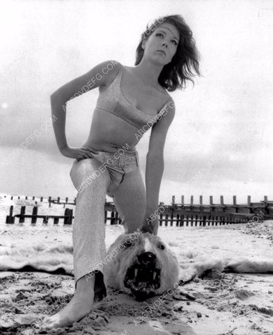 Diana Rigg w bearskin rug on the beach 8b20-14094