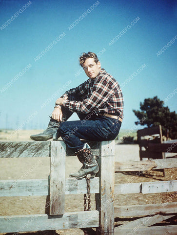 handsome Guy Madison outdoors pic 8b20-14421