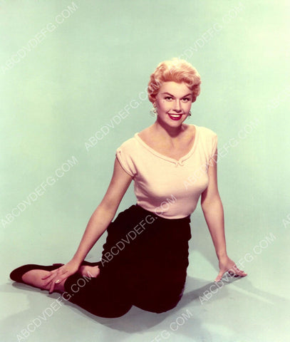 beautiful Doris Day portrait 8b20-14604